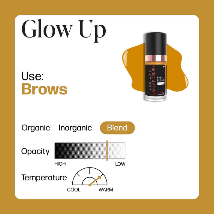 PERMA BLEND Microblading - Glow Up 10ml DERĪGUMA TERMIŅŠ BEIDZAS