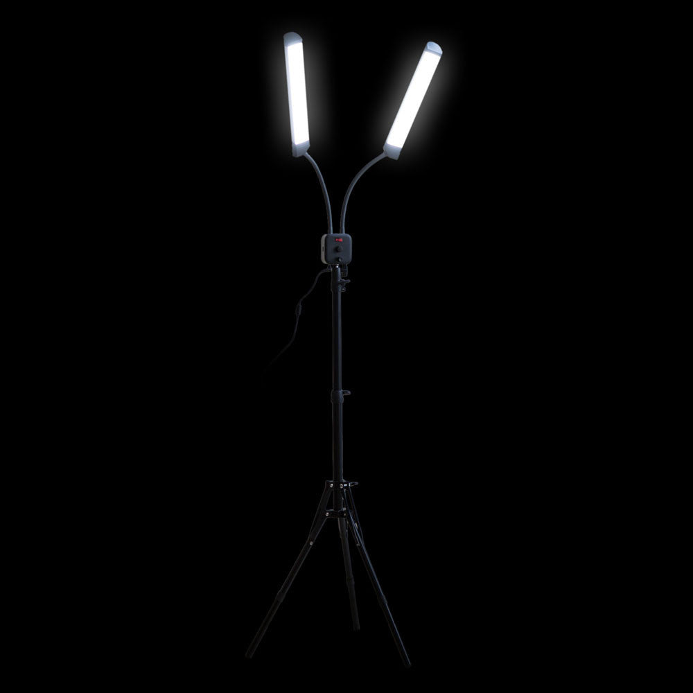 Double-Light Lamp